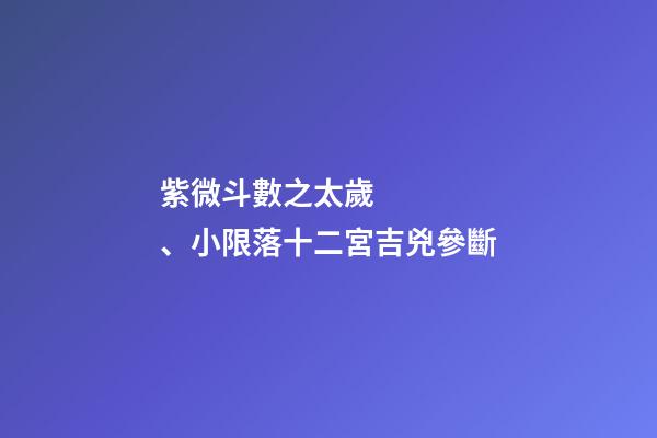 紫微斗數之太歲、小限落十二宮吉兇參斷
